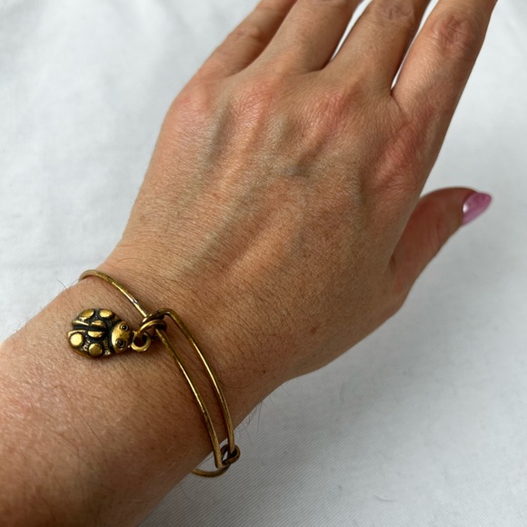 Alex and Ani Ladybug Charm Bracelet Rafaelian Gold Finish - Expands 2"- … - Picture 4 of 11